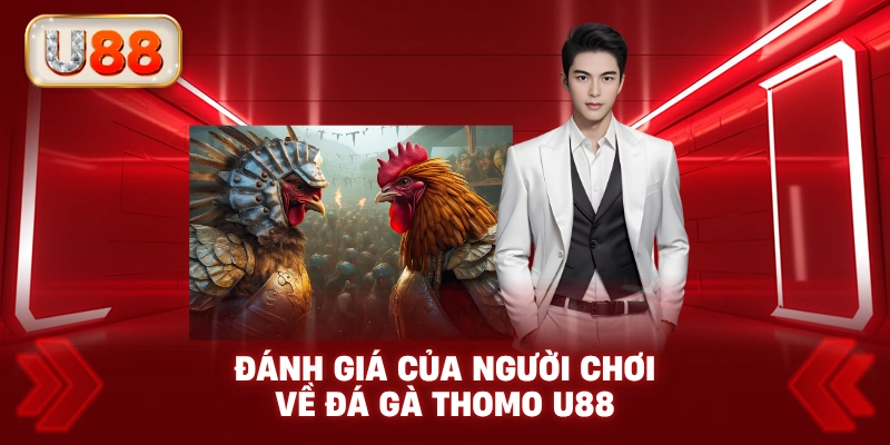 Đánh Giá Của Người Chơi Về Đá Gà Thomo U88